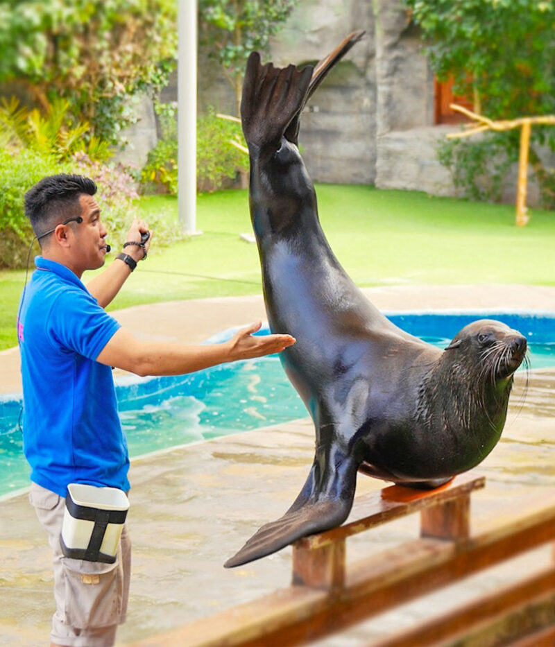 هزینه ووچر باغ وحش امارات در ابوظبی