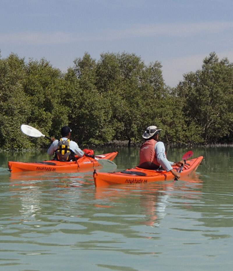 عکس کایاک سواری ابوظبی