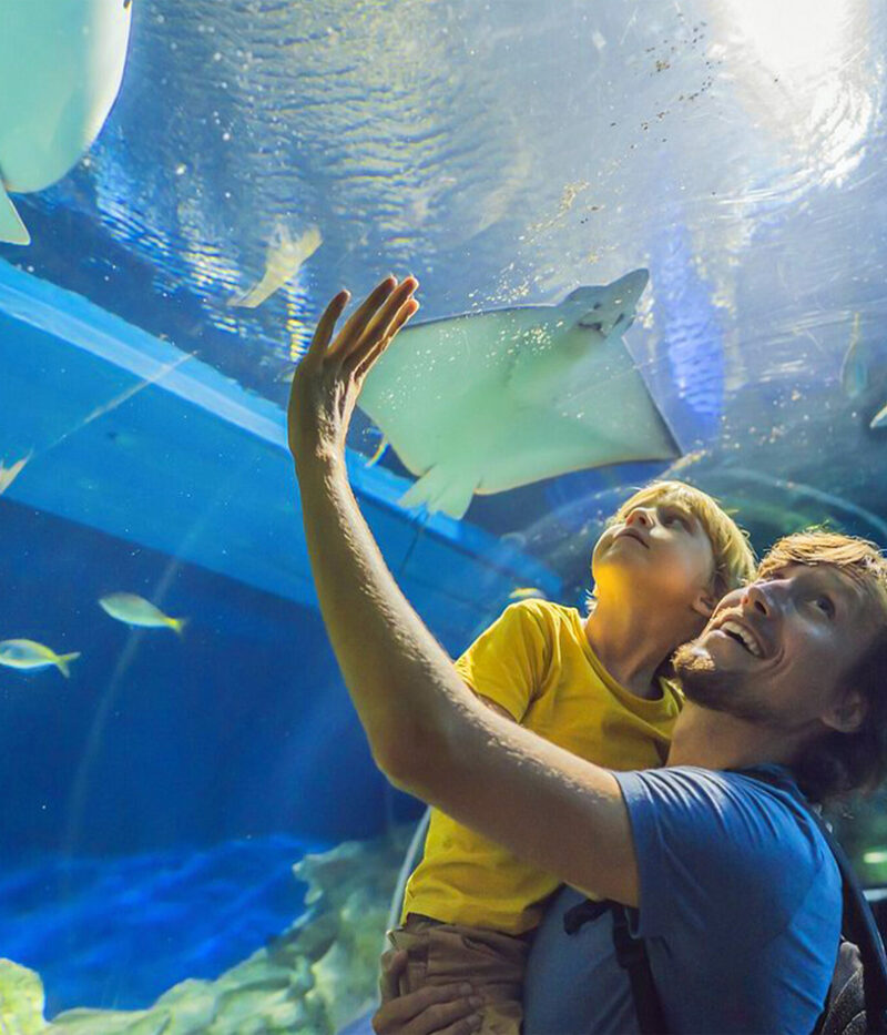 هزینه ووچر آکواریوم عمان