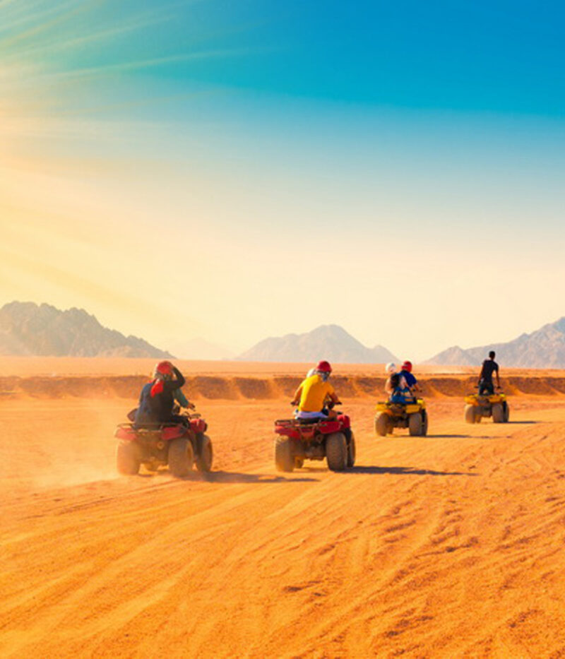 قیمت ووچر سافاری ابوظبی