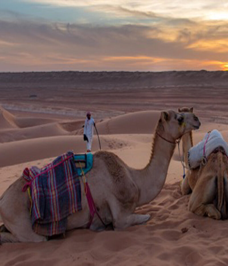 هزینه ووچر کمپ و سافاری در بیابان عمان