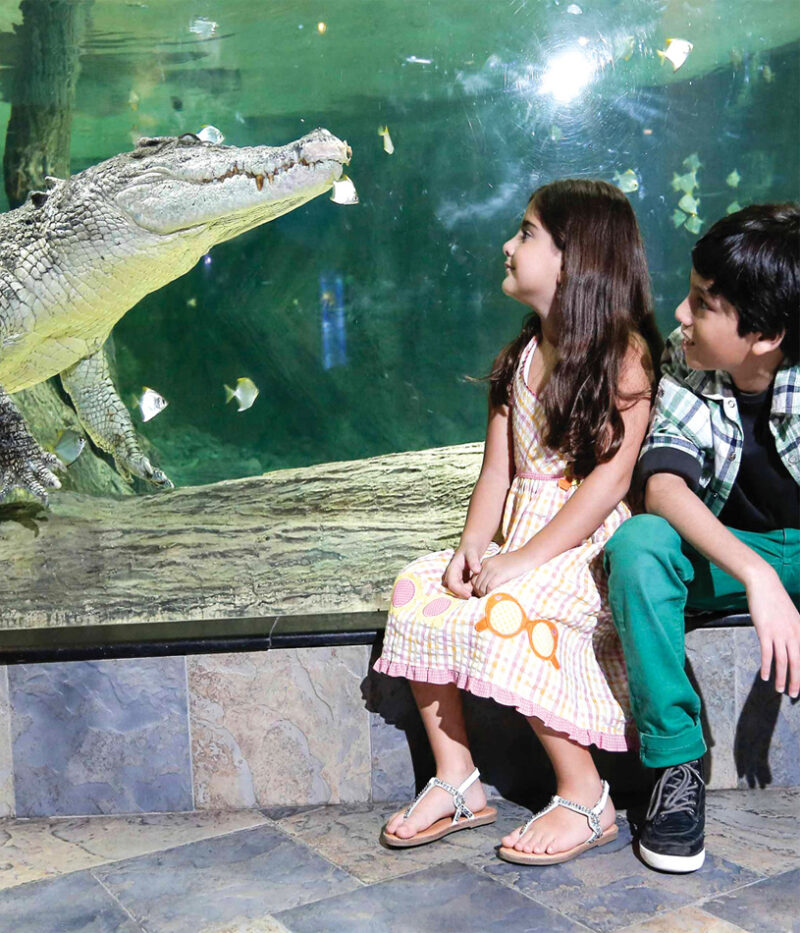 قیمت ووچر آکواریوم و باغ وحش زیر آب دبی مال