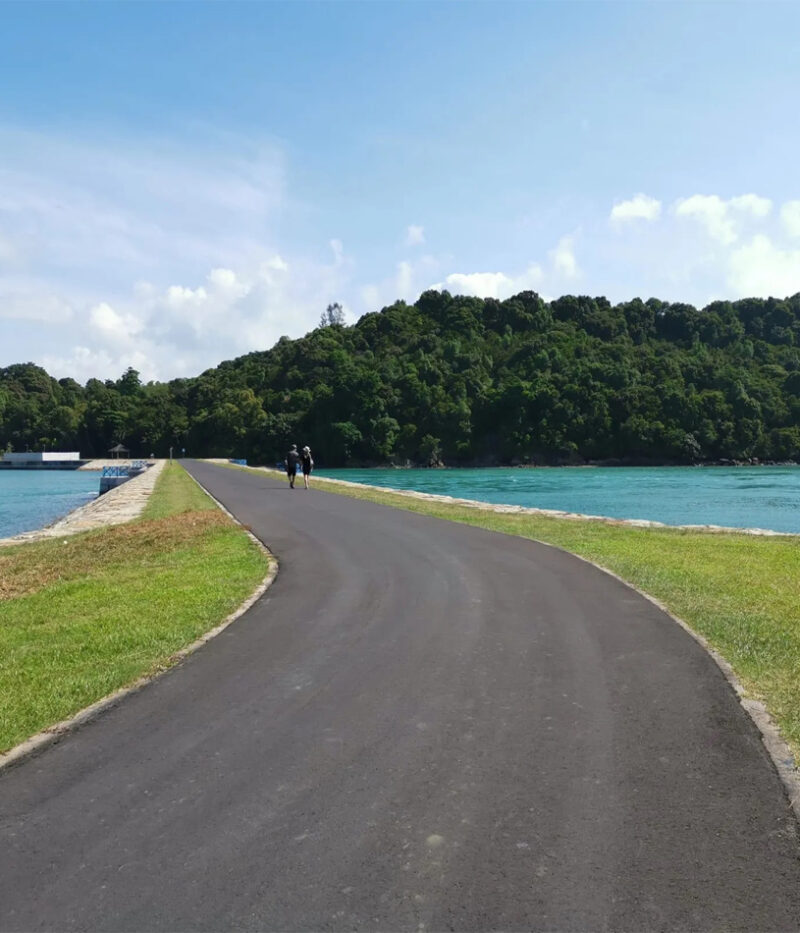 کروز سنگاپور