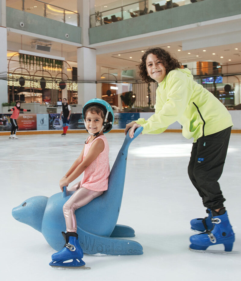 امکانات اسکیت روی یخ دبی