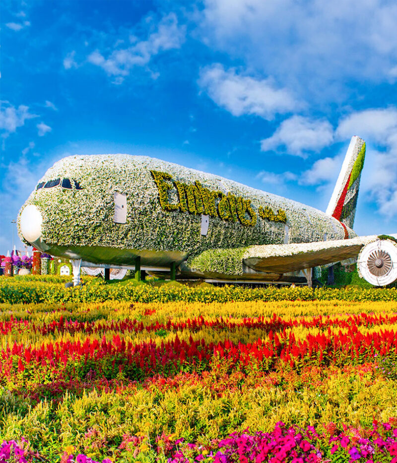 ووچر باغ گل دبی