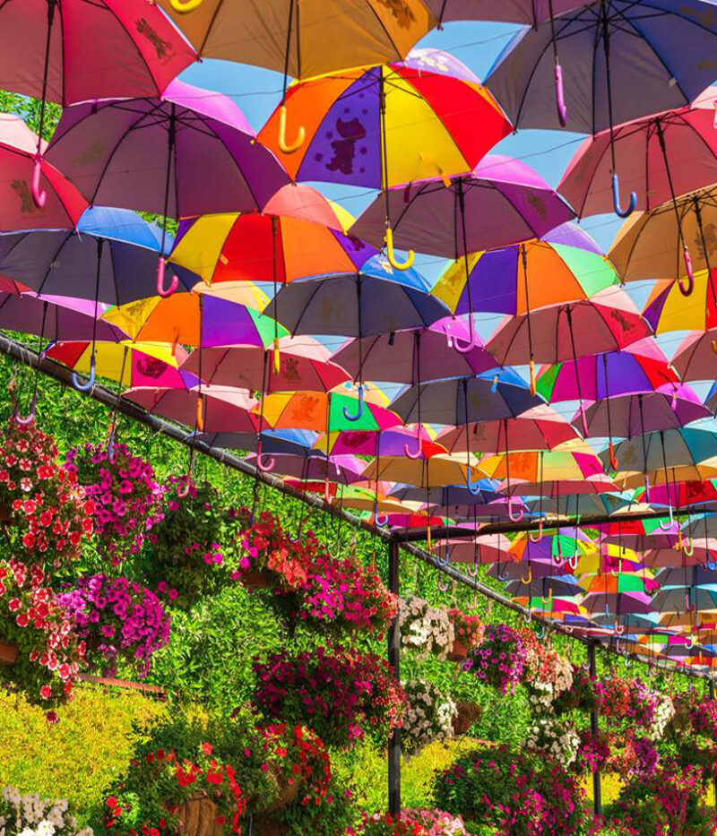 امکانات باغ گل دبی