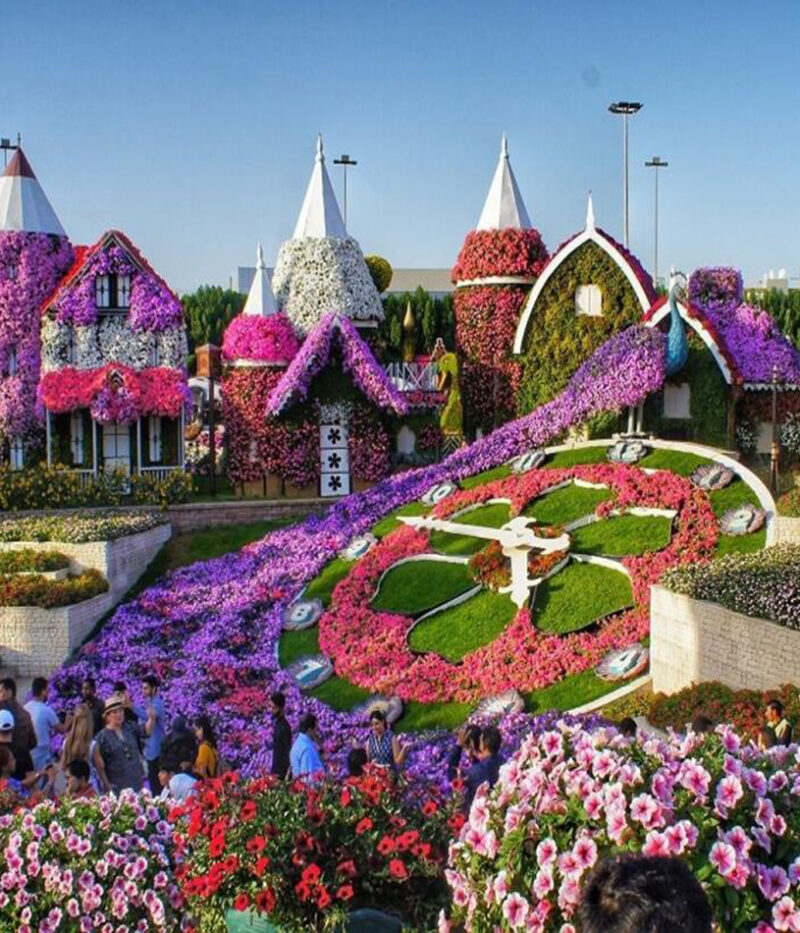 قیمت بلیط باغ گل دبی