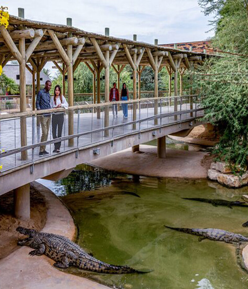 هزینه ووچر پارک کروکودیل دبی