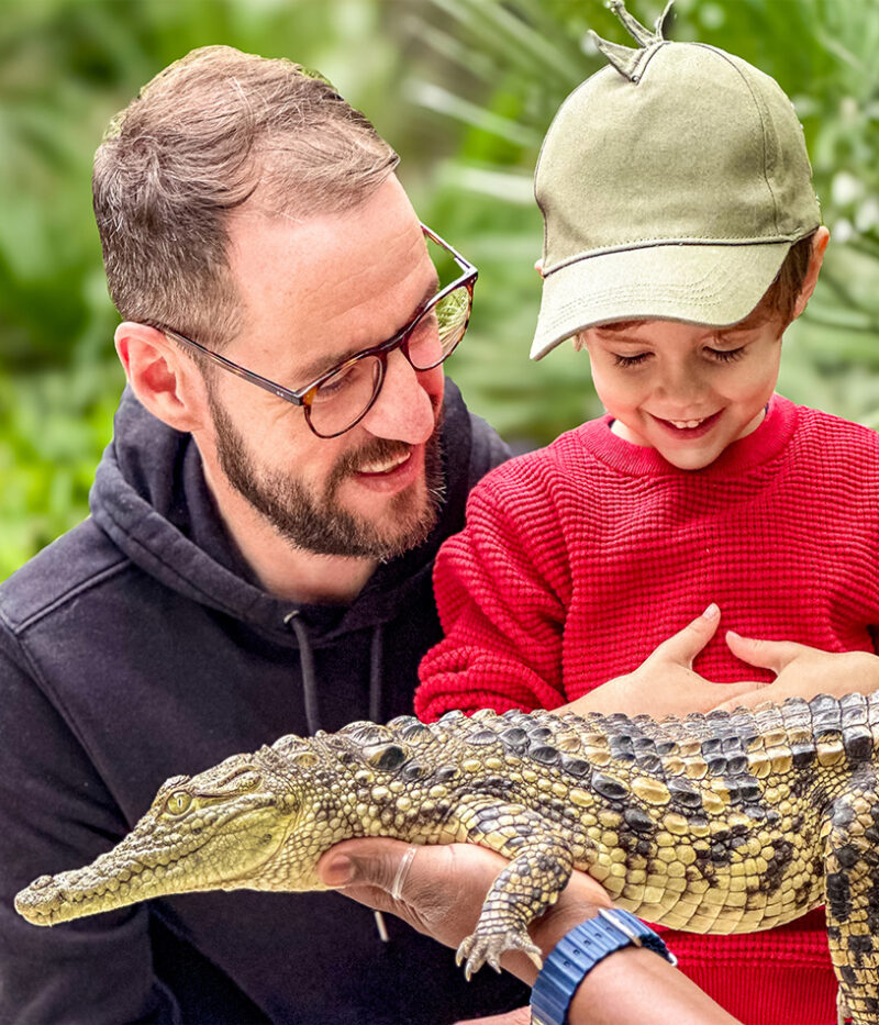 خرید ووچر پارک کروکودیل دبی