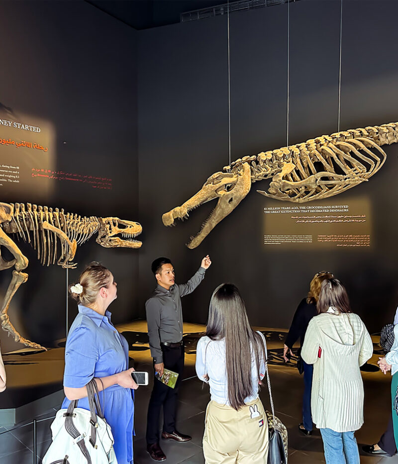 امکانات پارک کروکودیل دبی