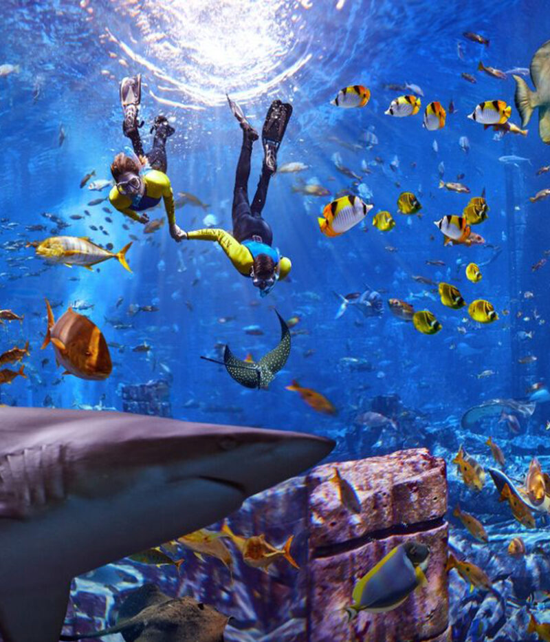 خرید بلیط آکواریوم لاست چمبرز دبی