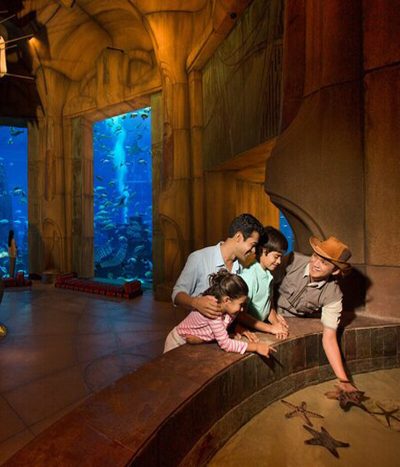 تورهای آکواریوم لاست چمبرز دبی