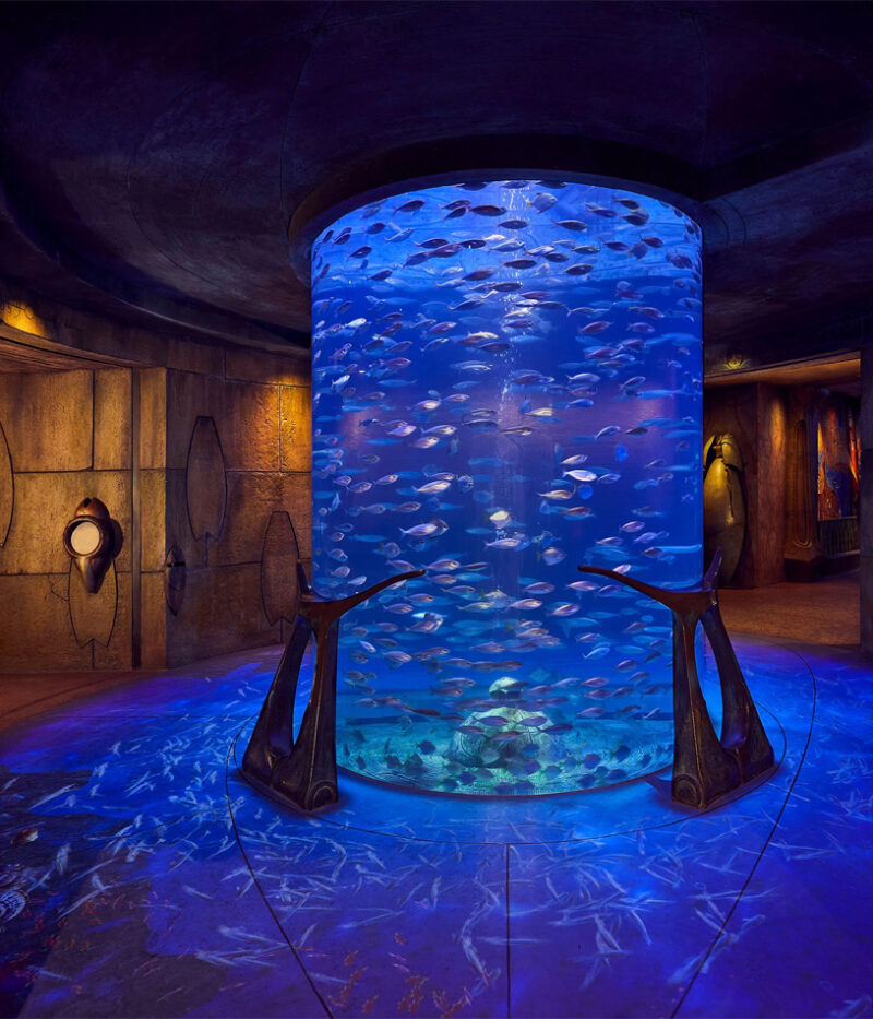 قیمت بلیط آکواریوم لاست چمبرز دبی