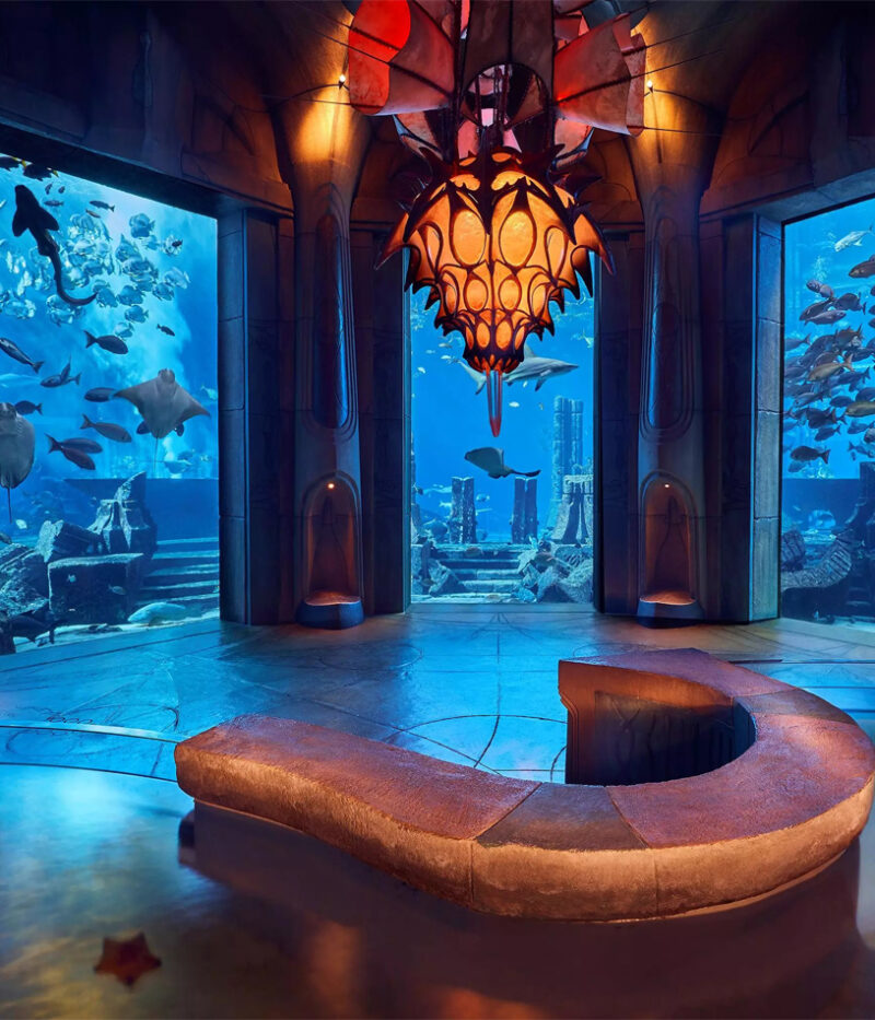 قوانین بلیط آکواریوم لاست چمبرز دبی