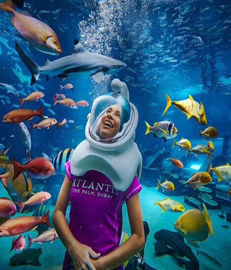 غواصی در آکواریوم لاست چمبرز دبی