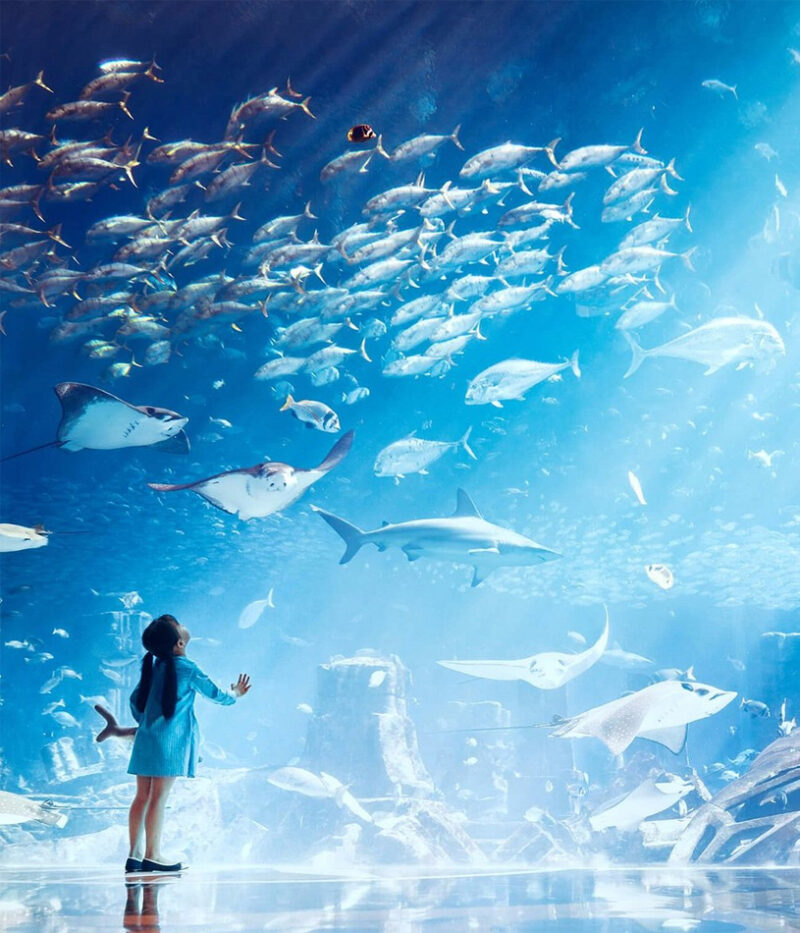 عکس آکواریوم لاست چمبرز دبی