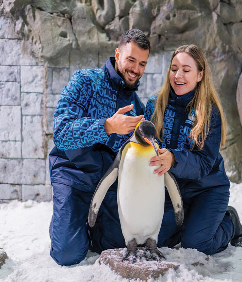 خرید بلیط اسکی دبی