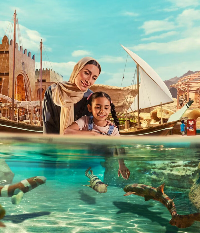 بلیط مجموعه سی ورلد ابوظبی