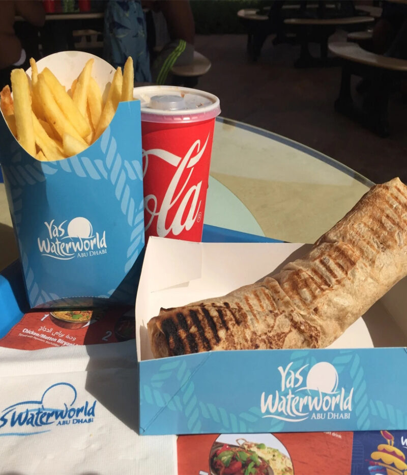 ناهار پارک آبی یاس ابوظبی