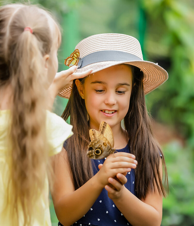 عکس باغ پروانه ابوظبی