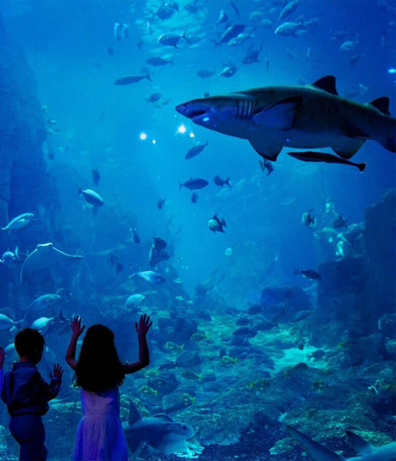 قیمت بلیط آکواریوم آنتالیا