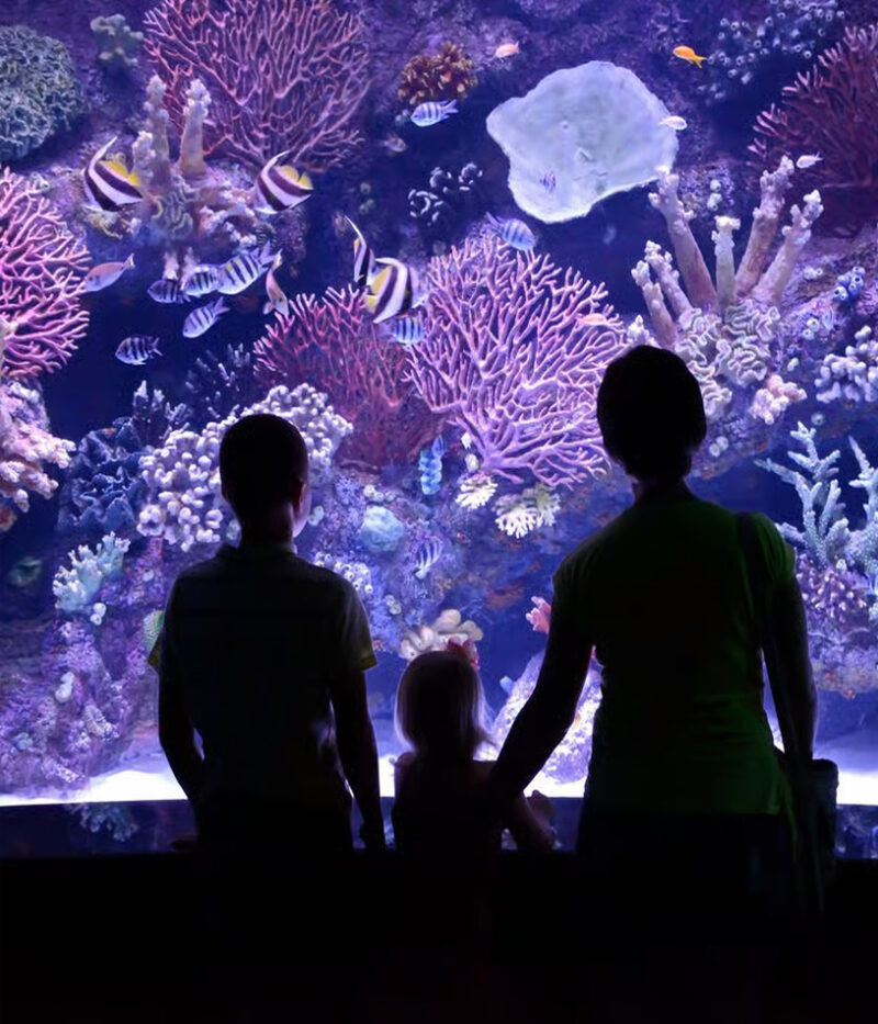 تصاویر آکواریوم آنتالیا