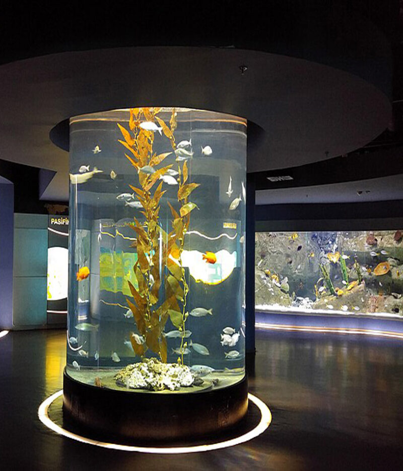 بلیط آکواریوم استانبول