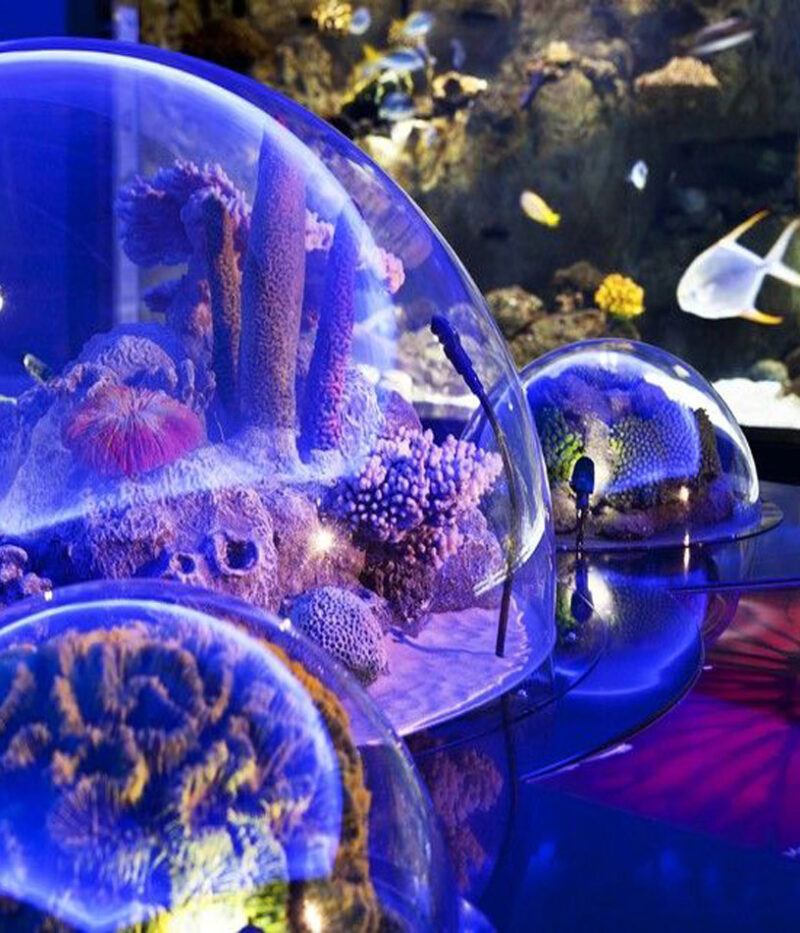 خرید بلیط آکواریوم استانبول