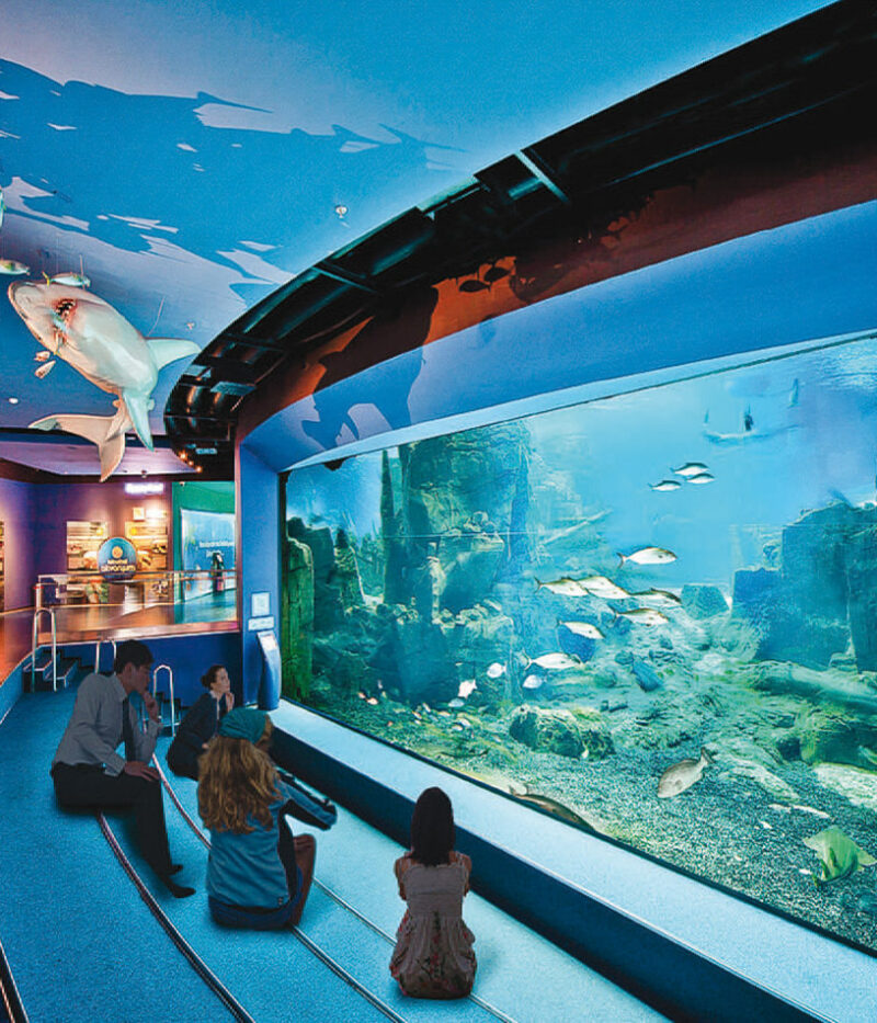 قیمت بلیط آکواریوم استانبول