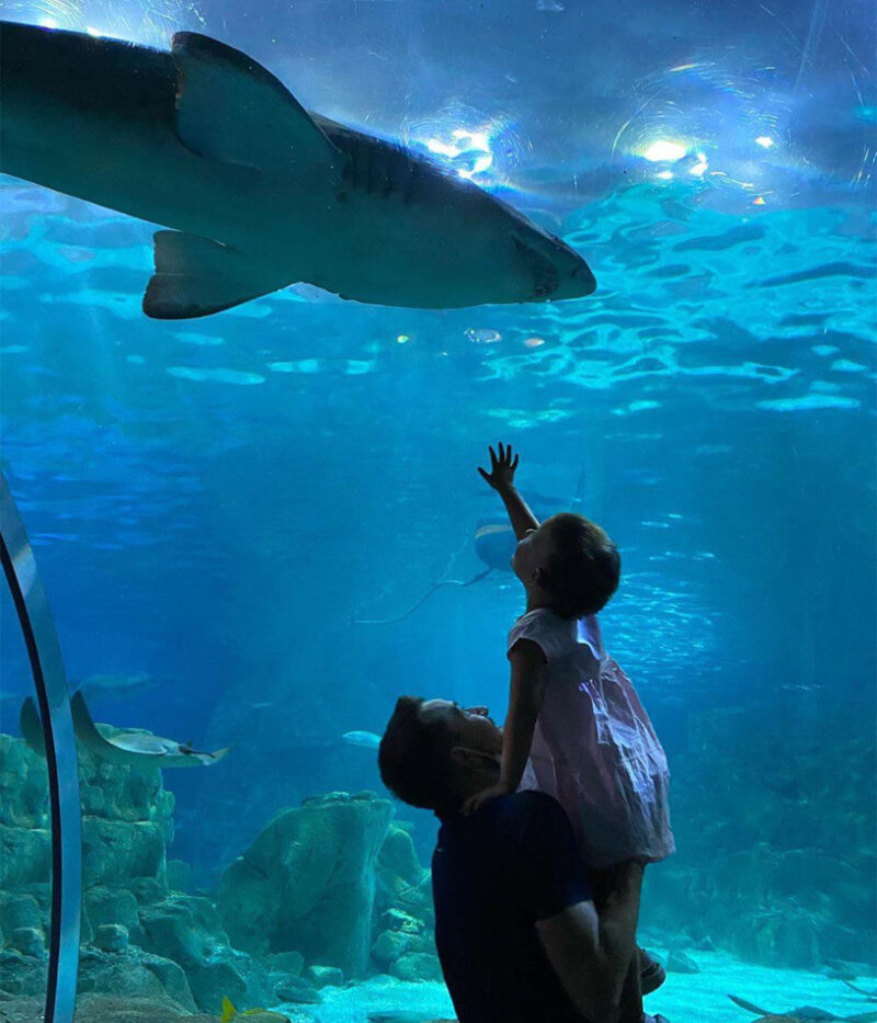 امکانات آکواریوم استانبول