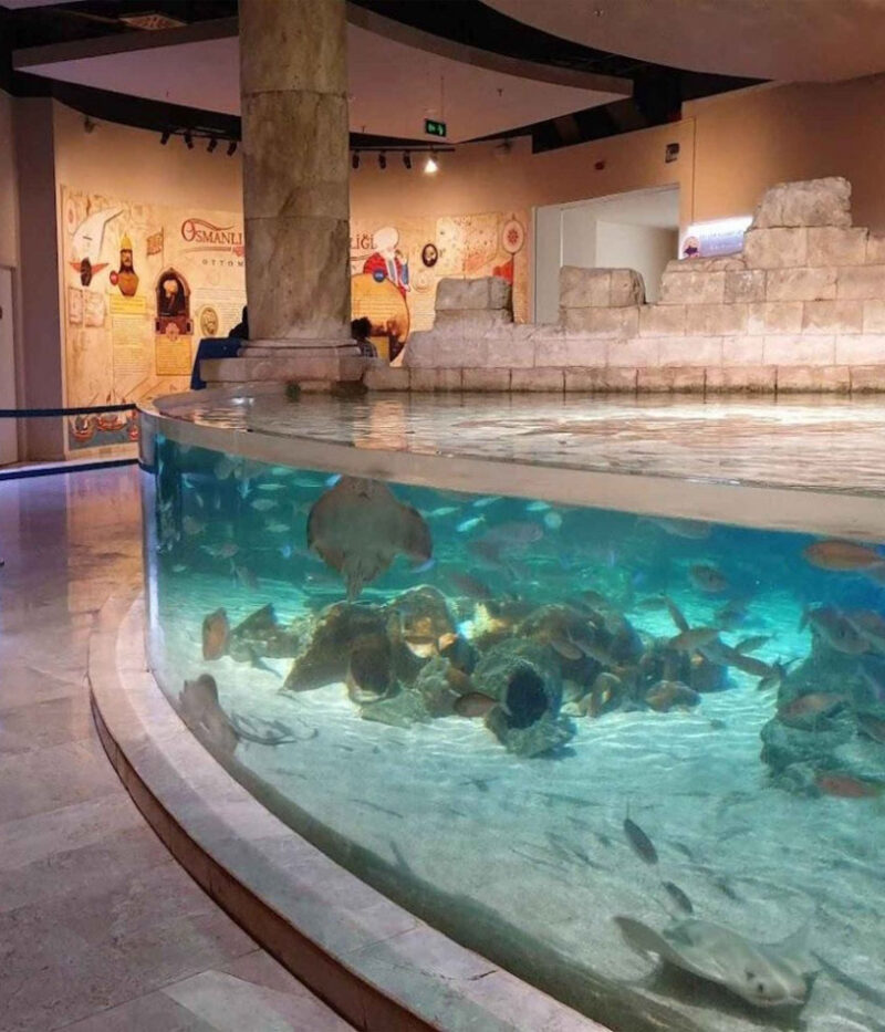بخش های آکواریوم استانبول
