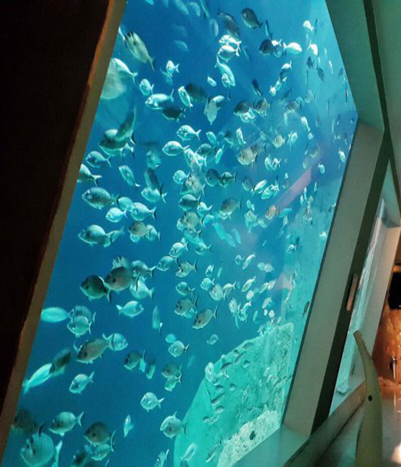 تصویر آکواریوم استانبول