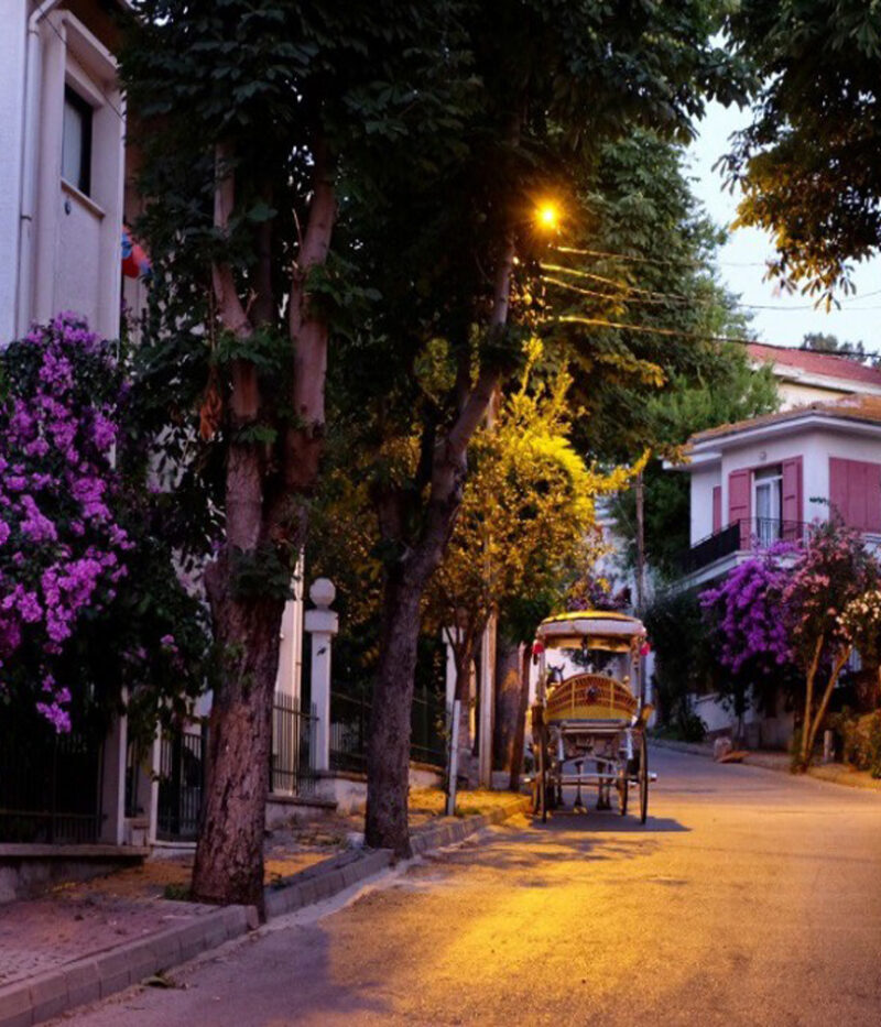 خرید تور جزایر پرنس استانبول