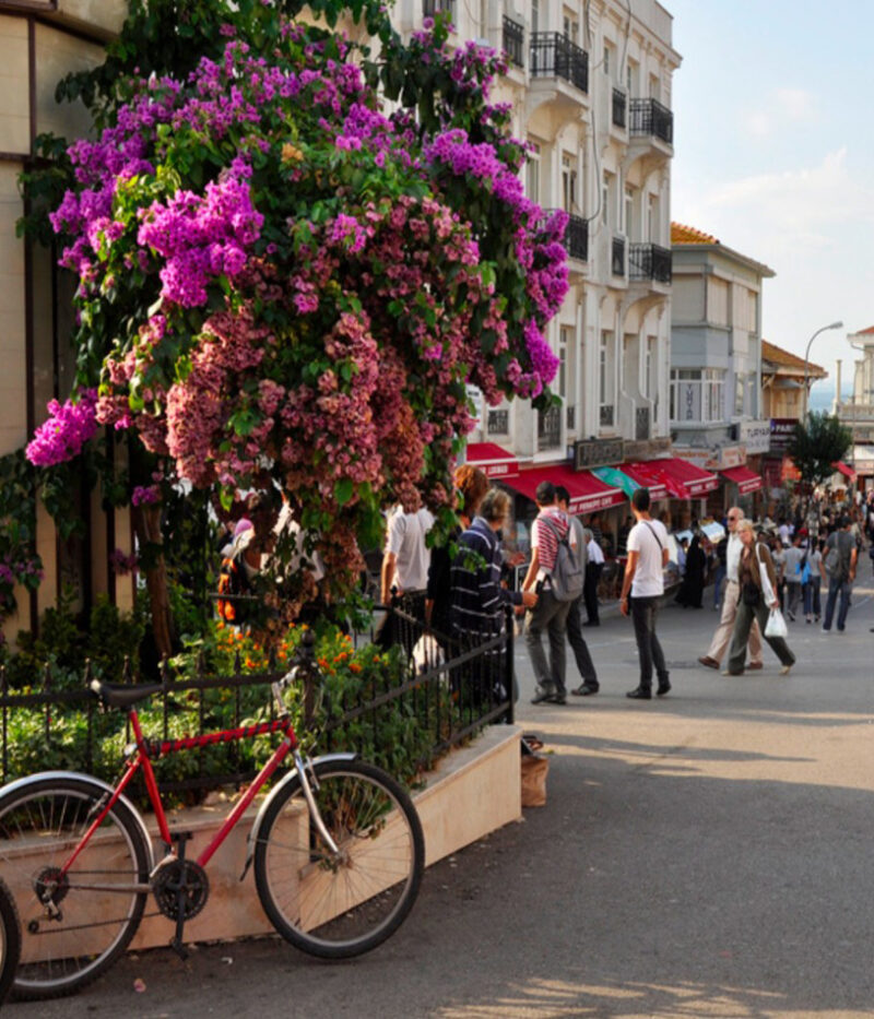 هزینه بلیط تور جزایر پرنس استانبول