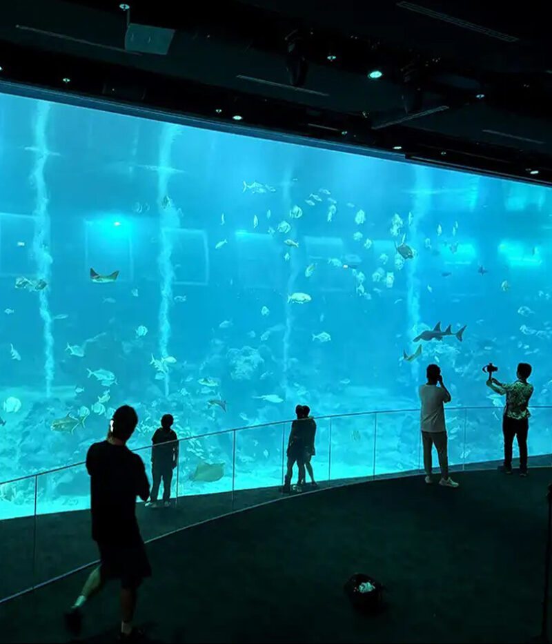 عکس آکواریوم اوشناریوم سنگاپور