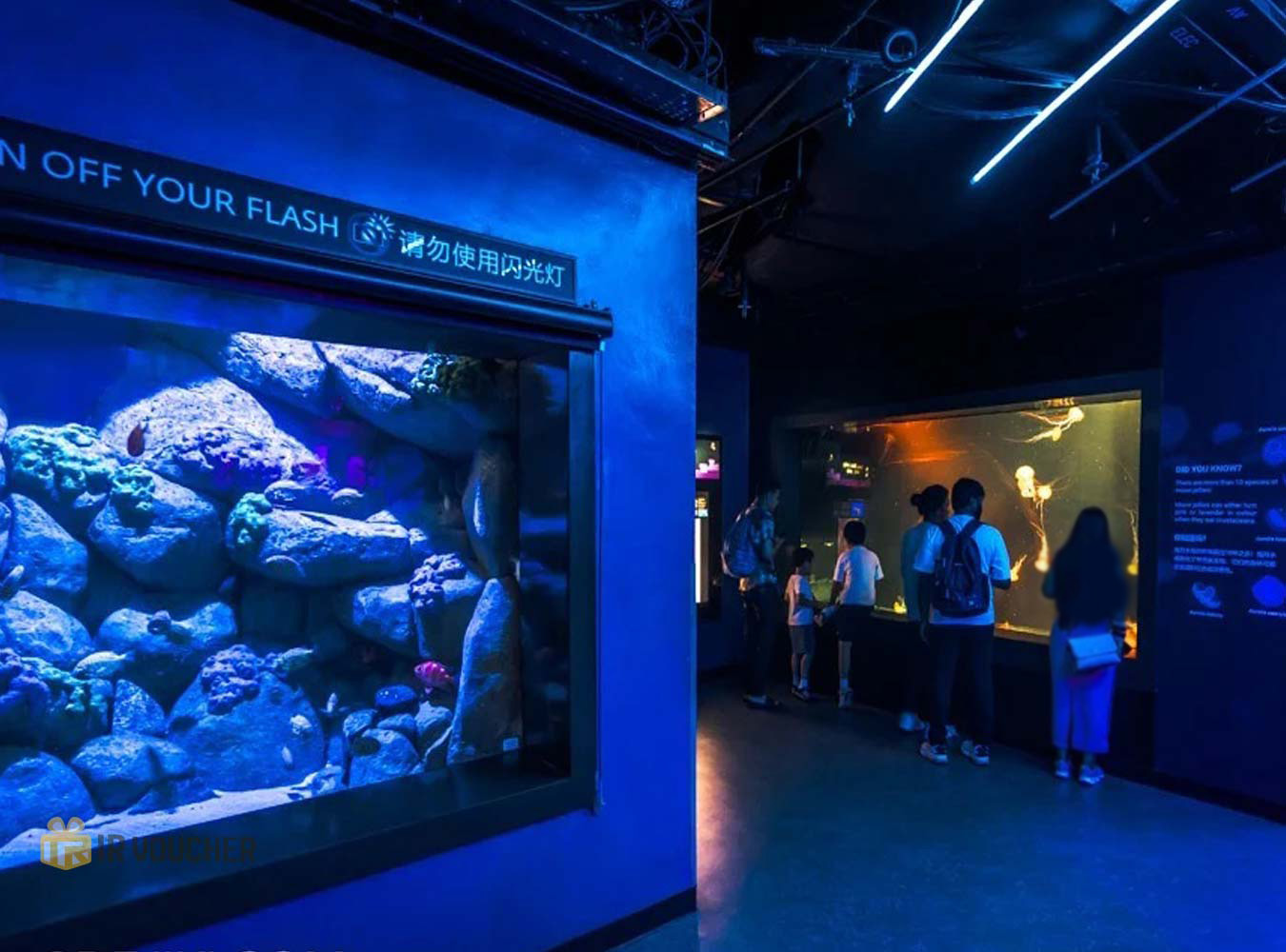آکواریوم Oceanarium سنگاپور