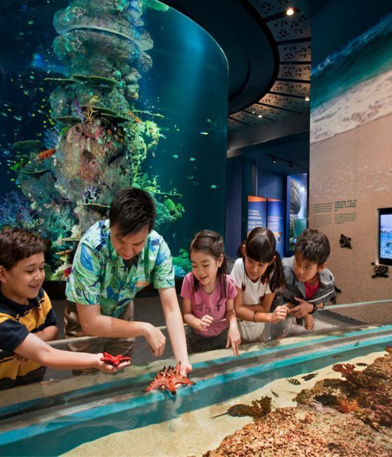 قیمت بلیط آکواریوم اوشناریوم سنگاپور