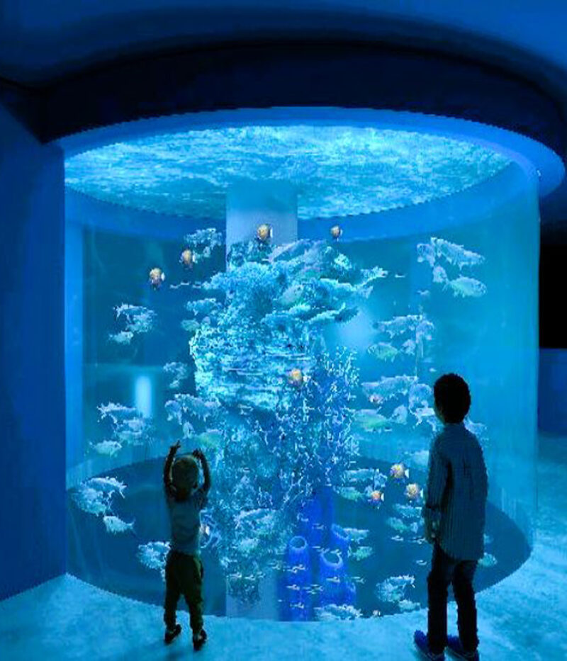 خرید بلیط آکواریوم اوشناریوم سنگاپور