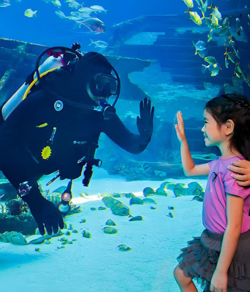 قوانین بلیط آکواریوم اوشناریوم سنگاپور