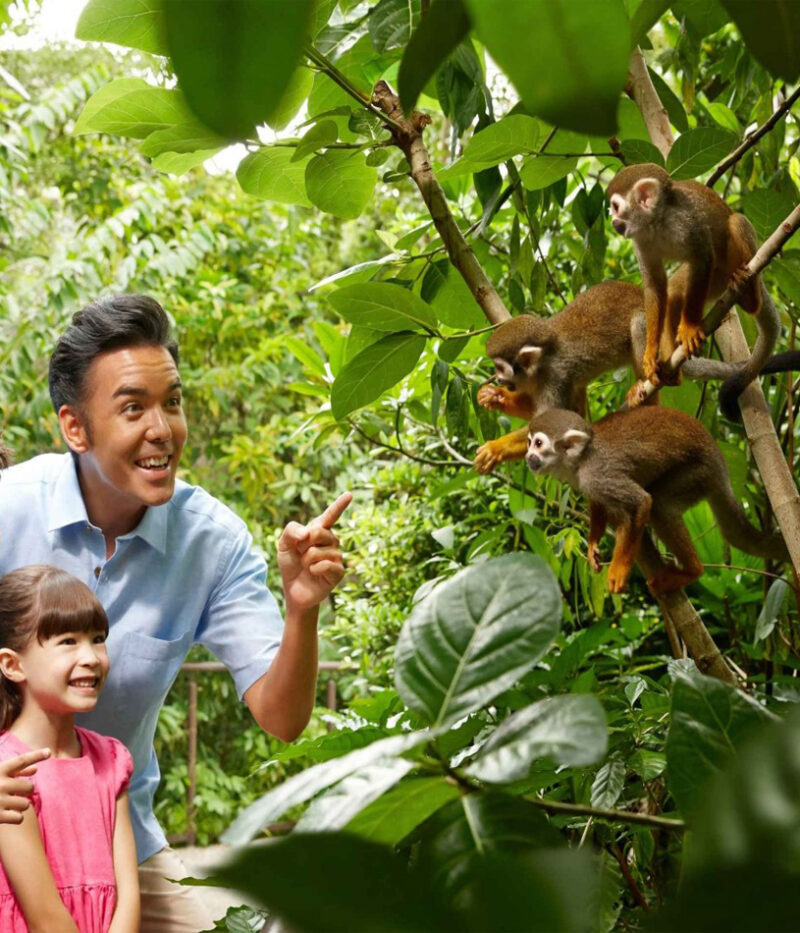 قیمت بلیط باغ‌وحش سنگاپور با تراموا سواری