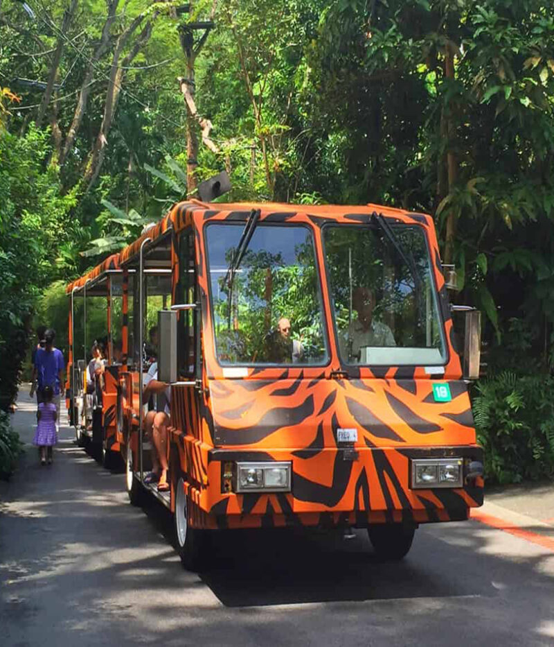 امکانات بلیط باغ‌وحش سنگاپور با تراموا سواری