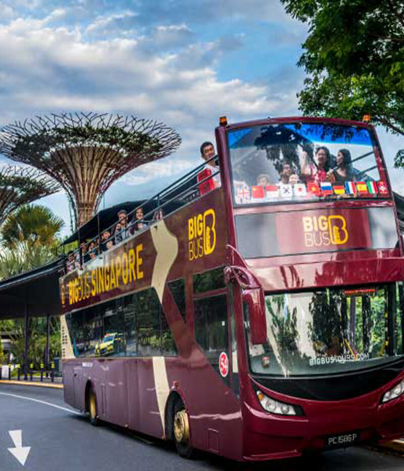 قیمت تور بیگ باس سنگاپور