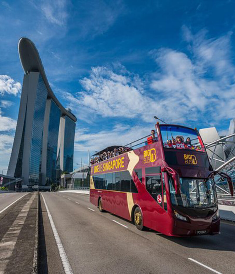 خرید تور بیگ باس سنگاپور