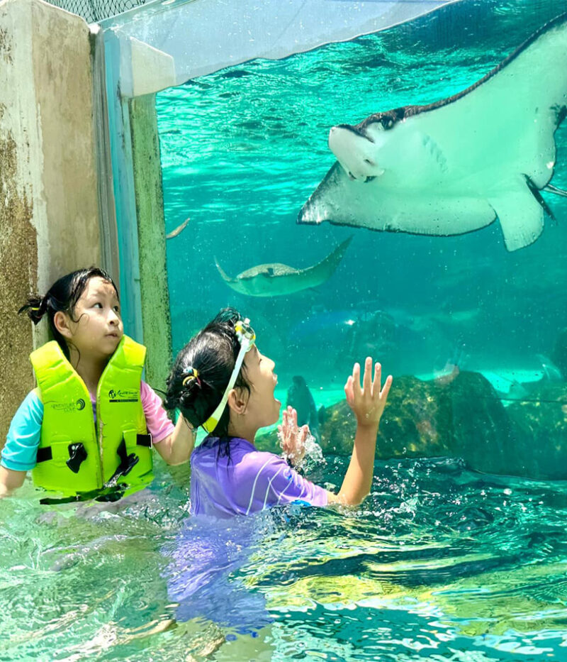 هزینه بلیط پارک آبی ادونچر کاو سنگاپور