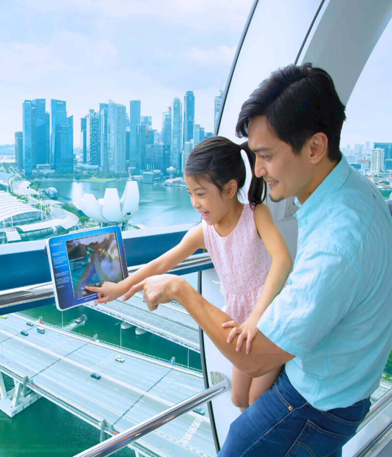 امکانات بلیط چرخ و فلک پرنده سنگاپوری