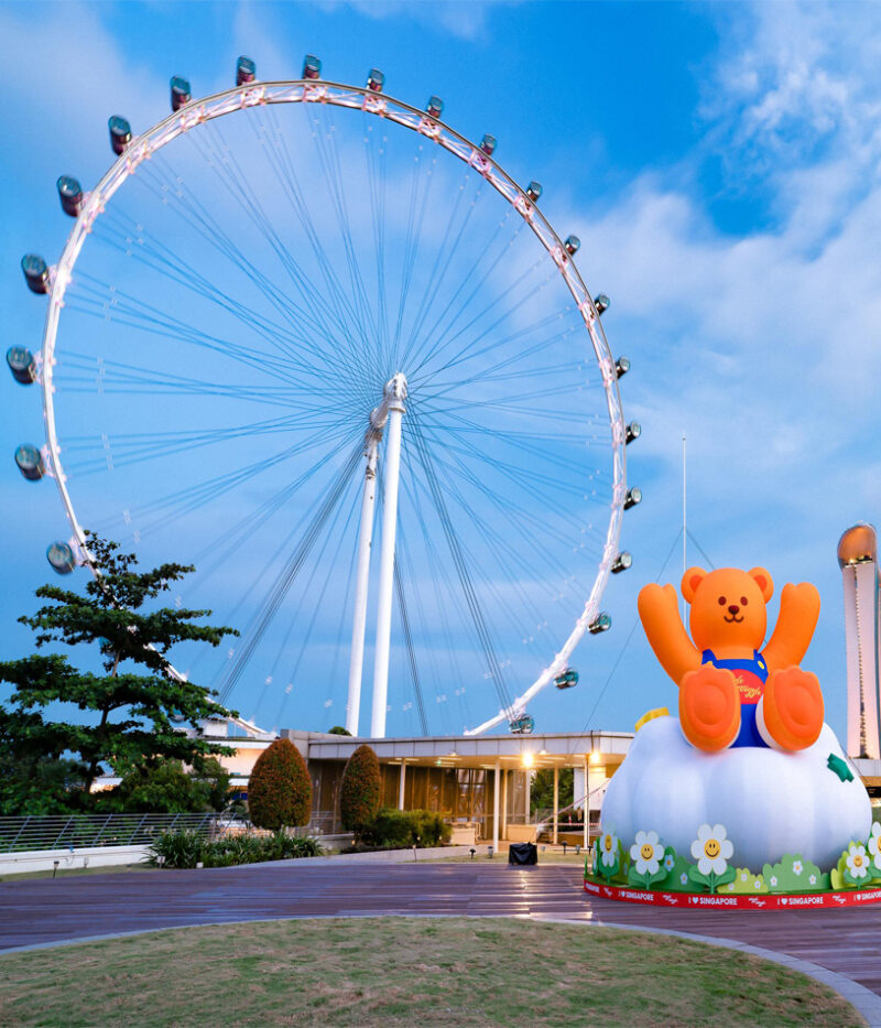 قوانین چرخ و فلک پرنده سنگاپوری