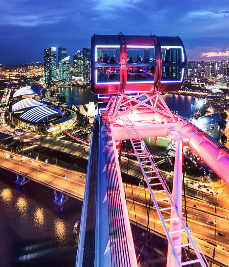 خرید بلیط چرخ و فلک پرنده سنگاپوری