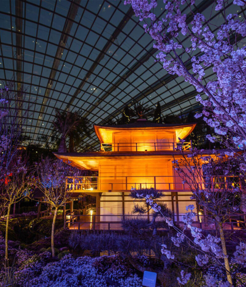 قیمت و نحوه خرید بلیط گاردن بای د بی سنگاپور