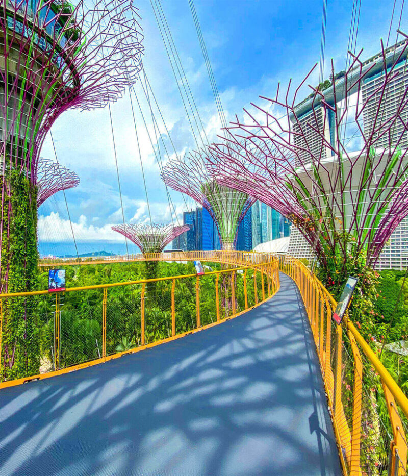 قوانین گاردن بای د بی سنگاپور