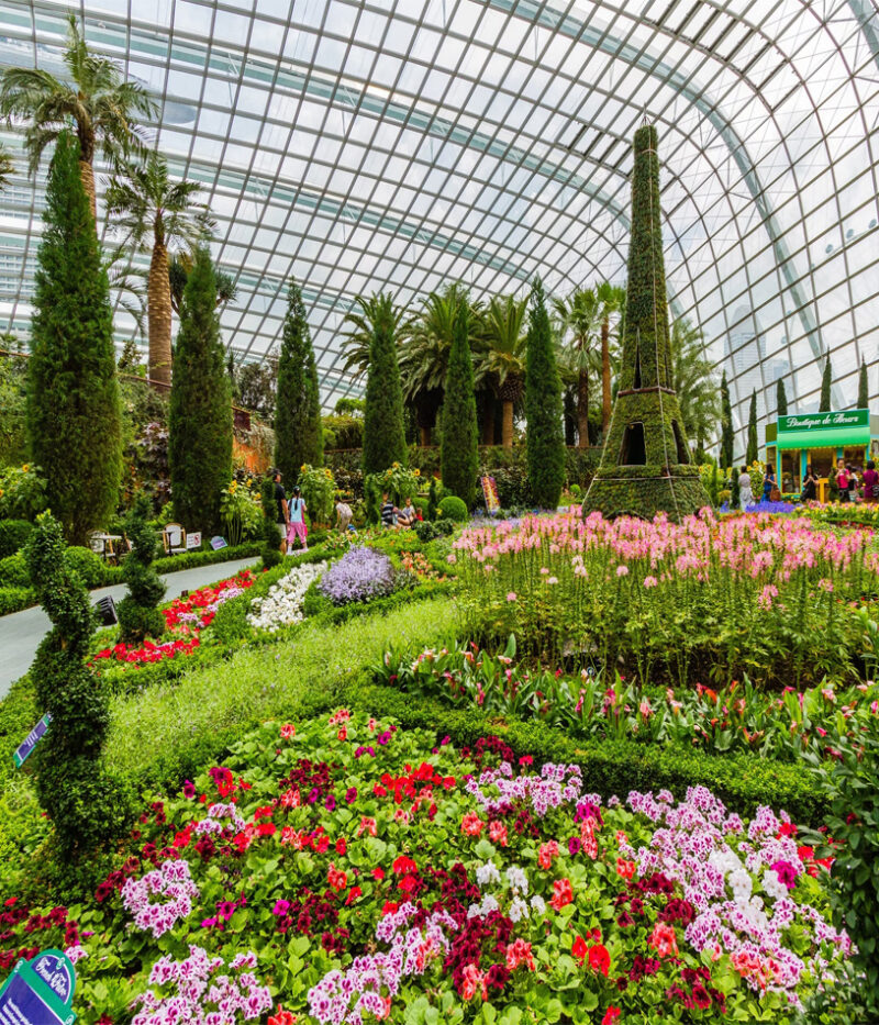 باغ گل گاردن بای د بی سنگاپور